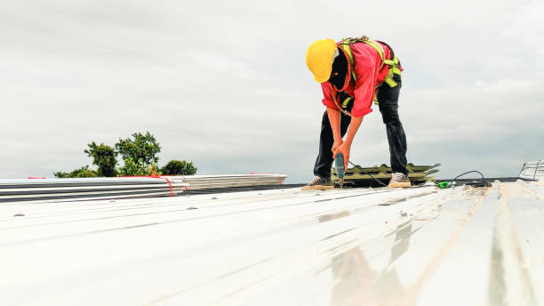 Best Chimney Flashing Repair  in Leilani Estates, HI