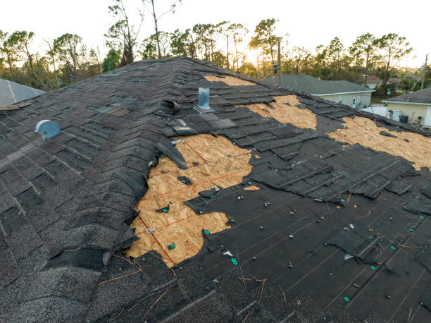 Best Metal Roofing Installation  in Leilani Estates, HI