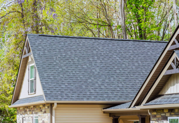 Best Green or Eco-Friendly Roofing Solutions  in Leilani Estates, HI